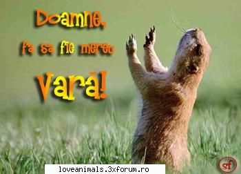 poze Funny - vara vara si iar vara te plictisesti la un - Poze