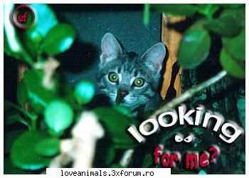 poze Funny - uitativa!!!!!!!!!!!!!1 - Poze