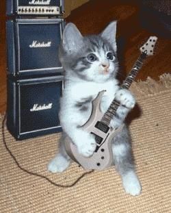 poze Funny - se nasc noi vede rock - Poze