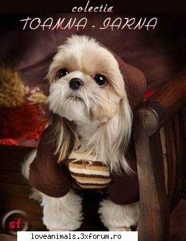 poze Funny - super !!!!!!! ii tare colectia toamna -iarna - Poze