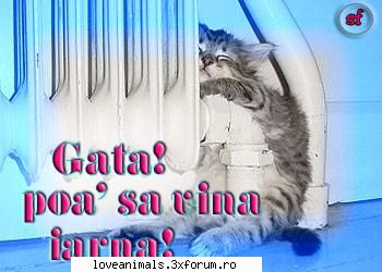 poze Funny - ce loc pentru iarna - Poze