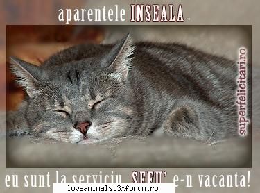 poze Funny - aici puneti poze fanny cu animale - Poze